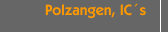 Polzangen, IC&acute;s